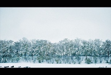 DSC_6238-Edit