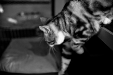 DSC02304-Edit