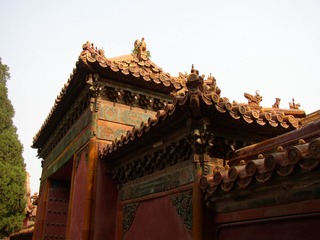 P1010005