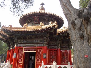 P1010020