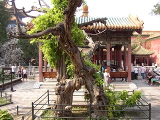 P1010025