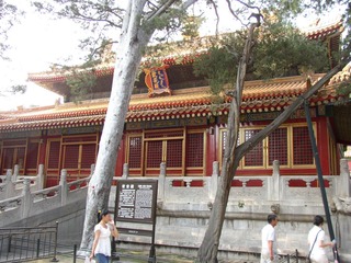 P1010042