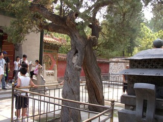 P1010043