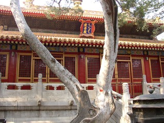 P1010046