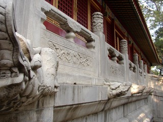 P1010051