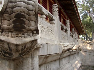 P1010052