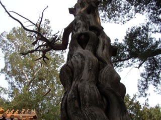P1010056