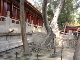 P1010057