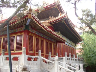 P1010062