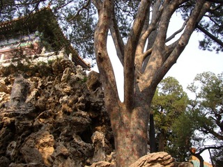 P1010064
