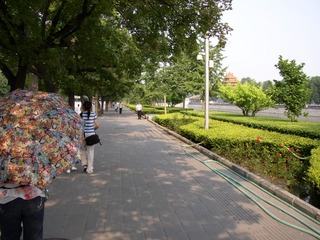 P1010078