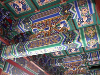 P1010041