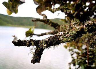 PS-P1020377