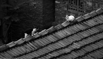 _DSC0258