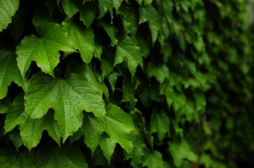 _CSC0352