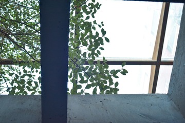 401CB353-E2F4-47C7-A266-E144AEA67CBB/L0/001