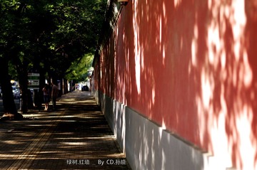 绿树_红墙
