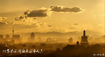 飞翔在城市天空