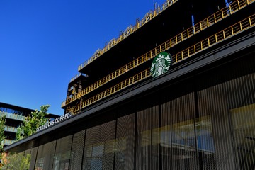 河边垂柳