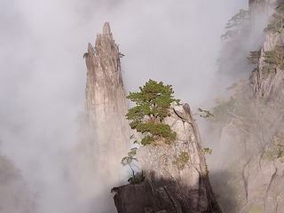 窗里春色窗外明
