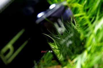 签名版studio19