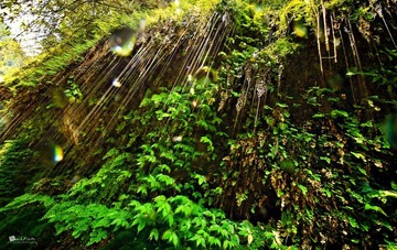 IMG_3400a.jpg