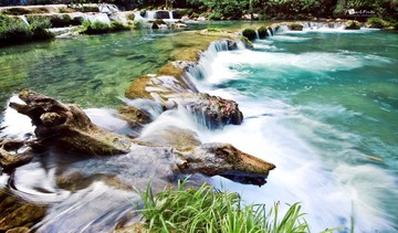 IMG_3534a.jpg