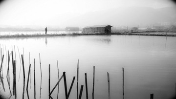 IMG_1691a.jpg