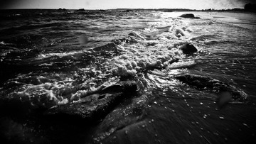 IMG_0981a.jpg