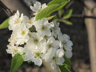 513070