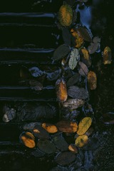 606433