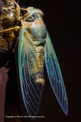 _DSC1677