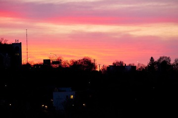 The colors left