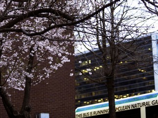 Walking around in Arlington, VA