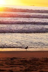 Sunset Beach 07