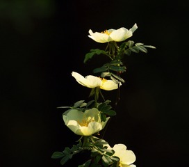 90500