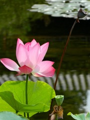 轮回的节奏