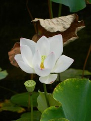 没有太阳有一点忧伤