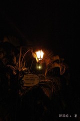 夜