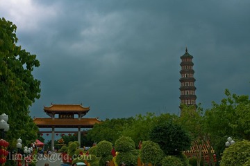 IMG_5817.jpg