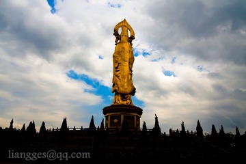 IMG_5828.jpg