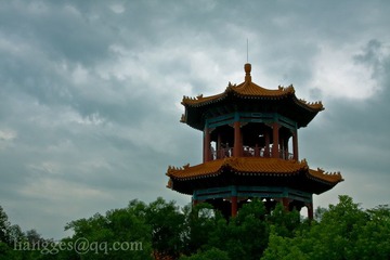 IMG_5856.jpg
