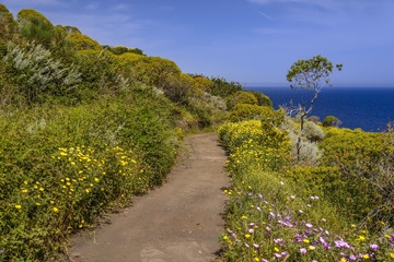 DSC_6990_
