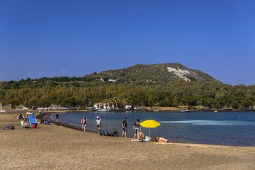DSC_7010_