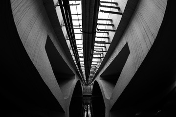 qujingfisheye-8245