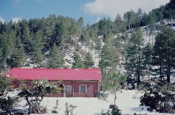 135-0571.jpg