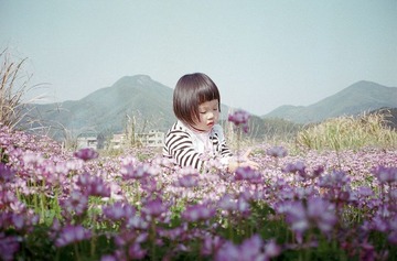 img205-1.jpg