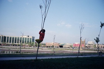 2012-10-119.jpg