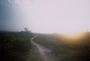 india-382
