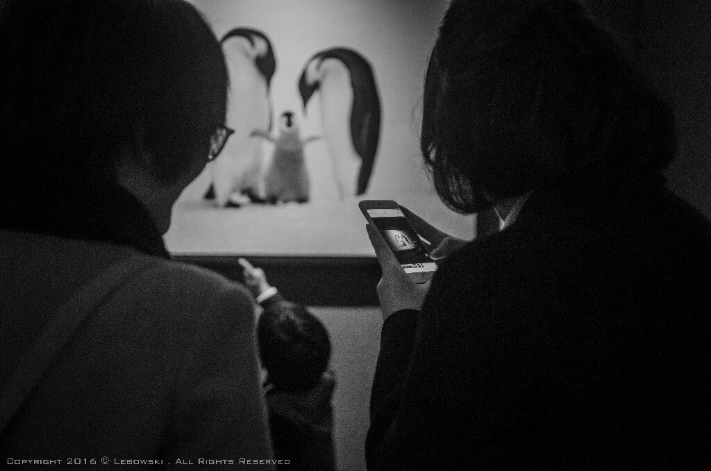 上海国家地理展随拍